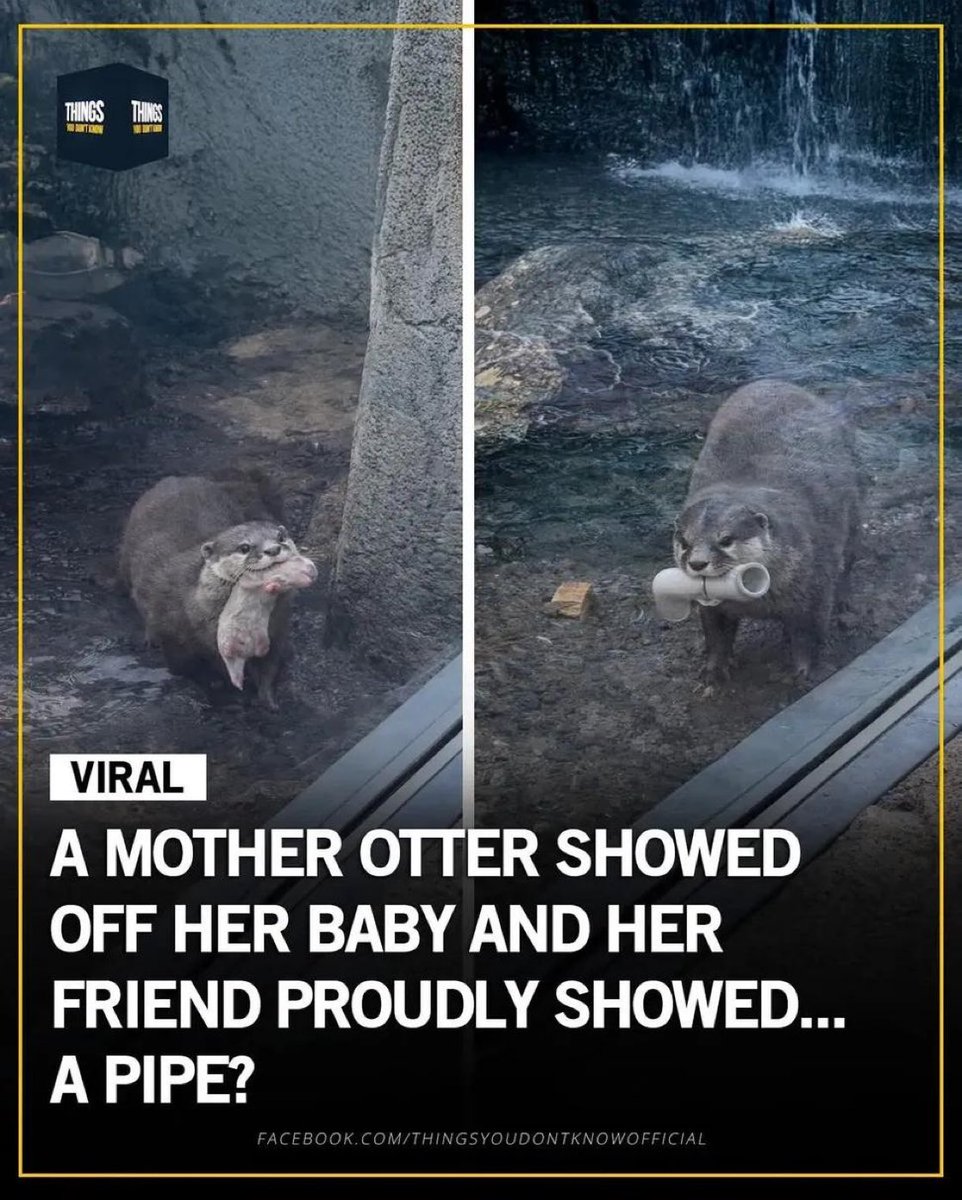 place where car shouldnt be (@carshouldnt) on Twitter photo 