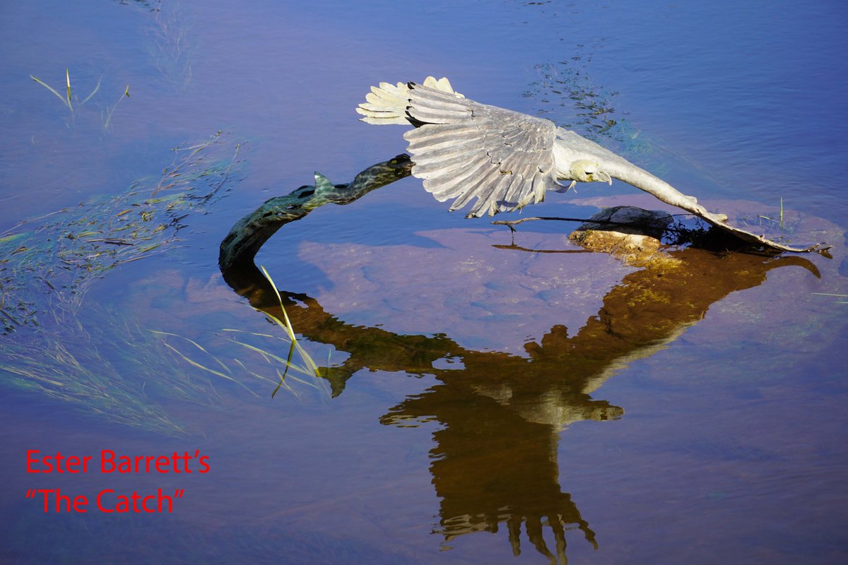 Billy Lyons tweet media