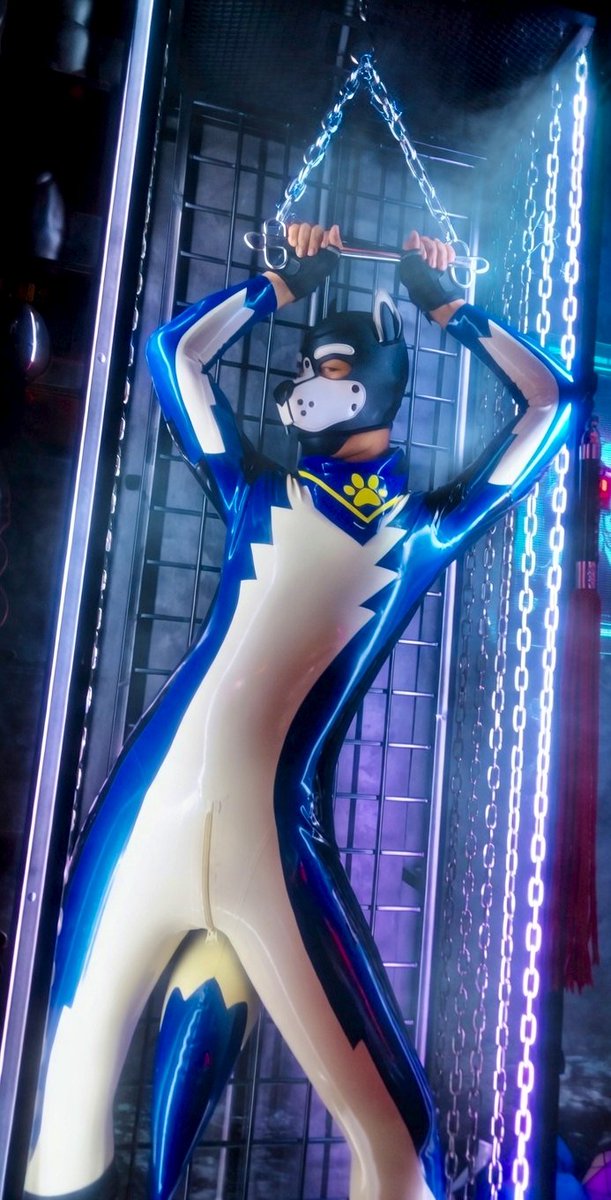 Ming Puppy BKK 🐾 tweet media