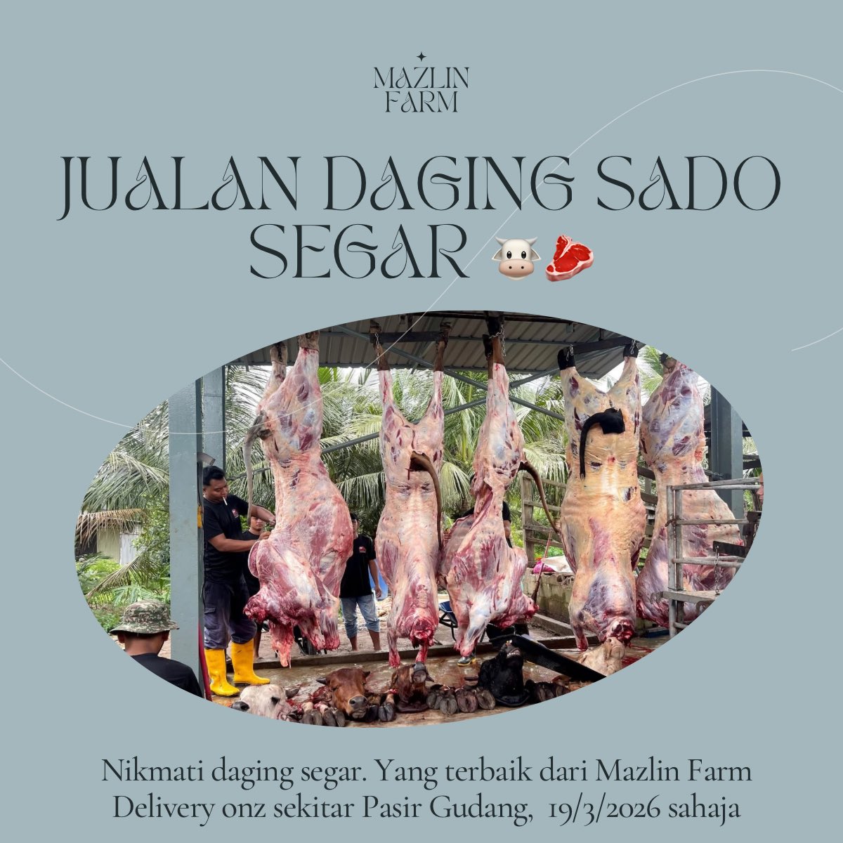 NooNicah's tweet photo. Warga Pasir Gudang ‼️📢 Jualan Daging Lembu Sado segar Aidilfitri. Jemput singgah 🤗 

Delivery sekitar Pasir Gudang dan Tmn Daya 19/3/2026. https://t.co/dI9P2Drypt