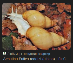 сякаркамвуш ≽^• ˕ •^≼ 🪾 tweet media