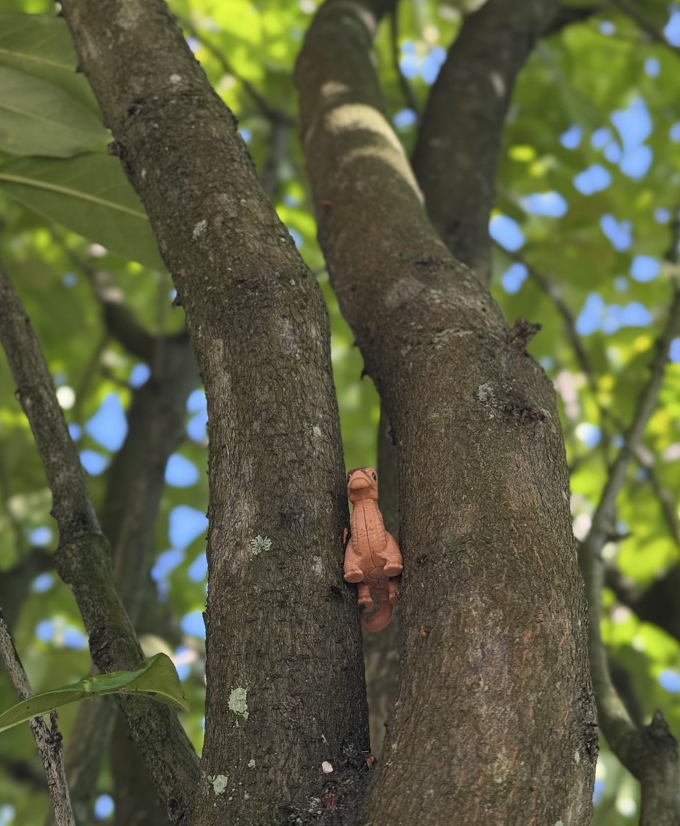 Lifander tweet media