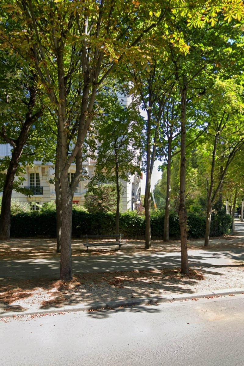 M° Gioachino Rossini tweet media