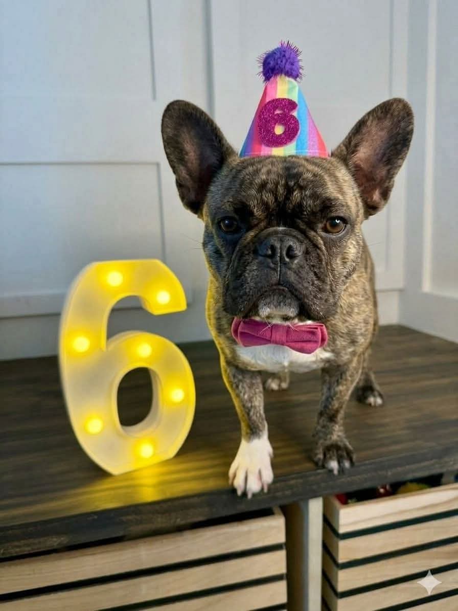 Happy Birthday🎂🎈🥰