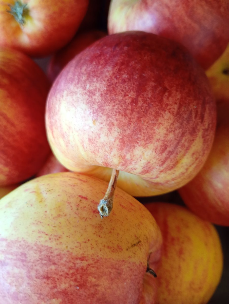 Goacher's Fruit tweet media