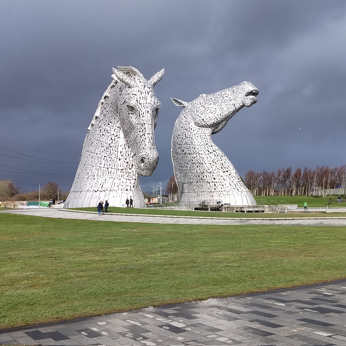 Steve Rose tweet media