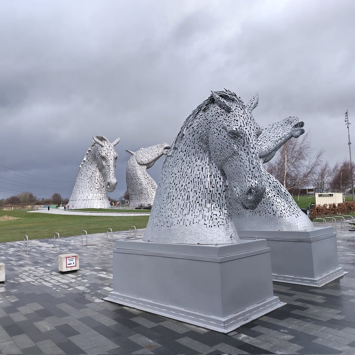 Steve Rose tweet media