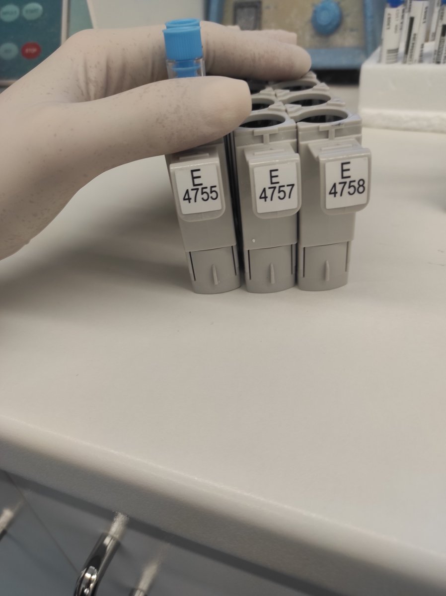 HessMess tweet media