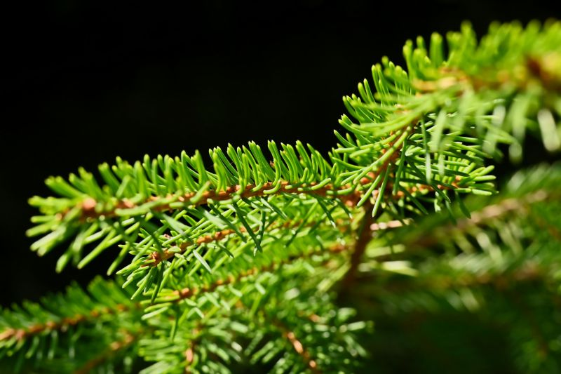 George Anadiotis tweet media