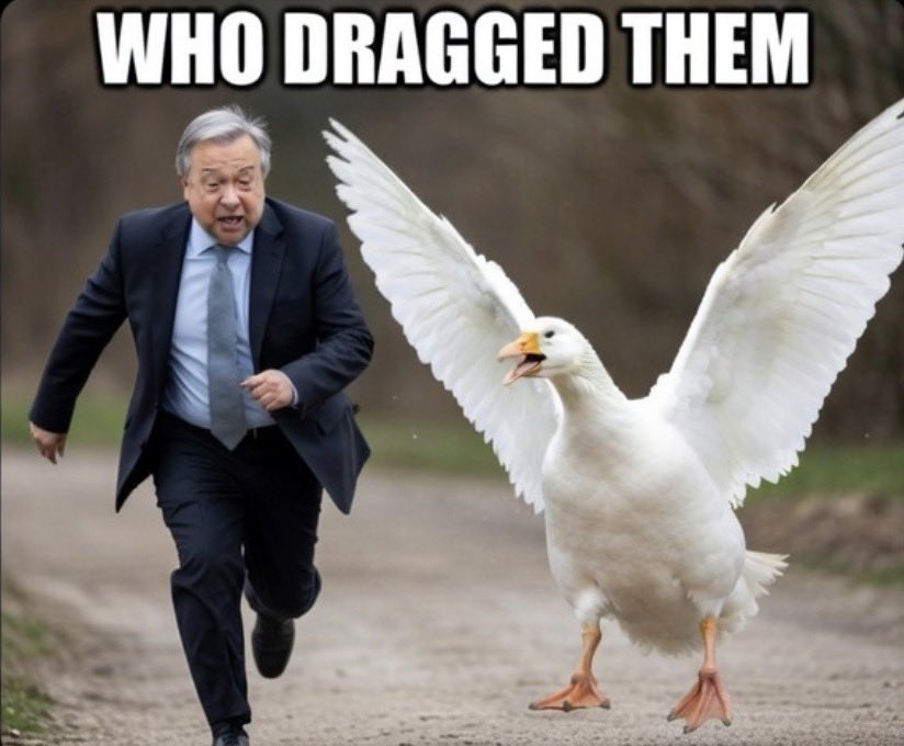 Justin Lanning 🇺🇸 🇮🇱 tweet media