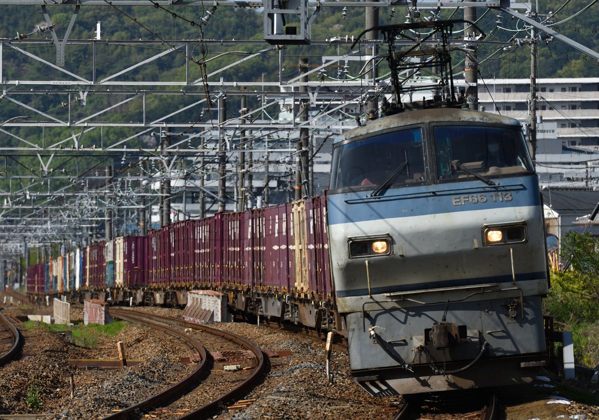 あぐかま tweet media