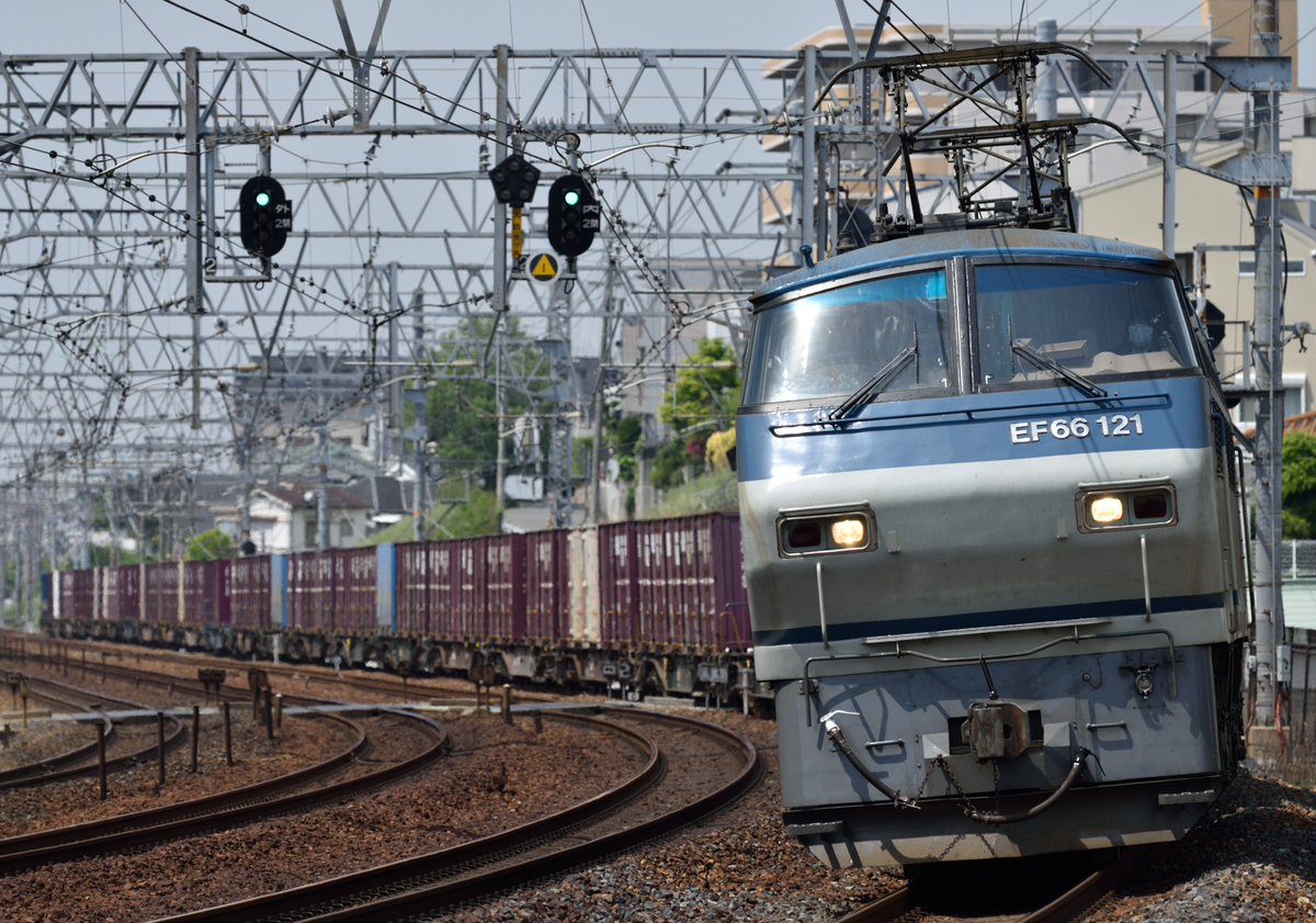 あぐかま tweet media