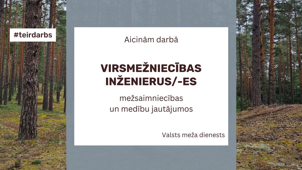 Valsts meža dienests izsludina konkursu uz ierēdņa amata vietām Vidzemes virsmežniecībā
vmd.gov.lv/lv/vakances