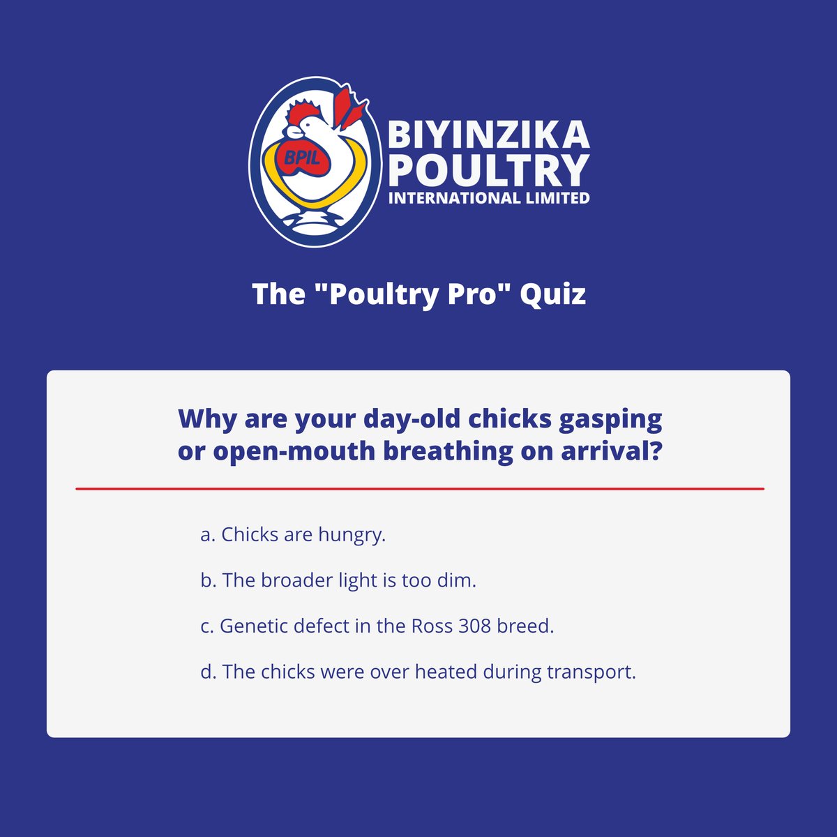 BiyinzikaUg's tweet photo. 🐥 Poultry Pro Quiz Time!
Think you're pro at Poultry Farming?
Let’s test your knowledge! 👨🌾👩🌾
Answer (A, B, C, or D) in the comments 👇
Let’s see who the real Pros are! 🏆🐔
#PoultryProQuiz #PoultryFarming #ChickManagement #FarmSmart #Biyinzika https://t.co/rcr0UJA5OZ