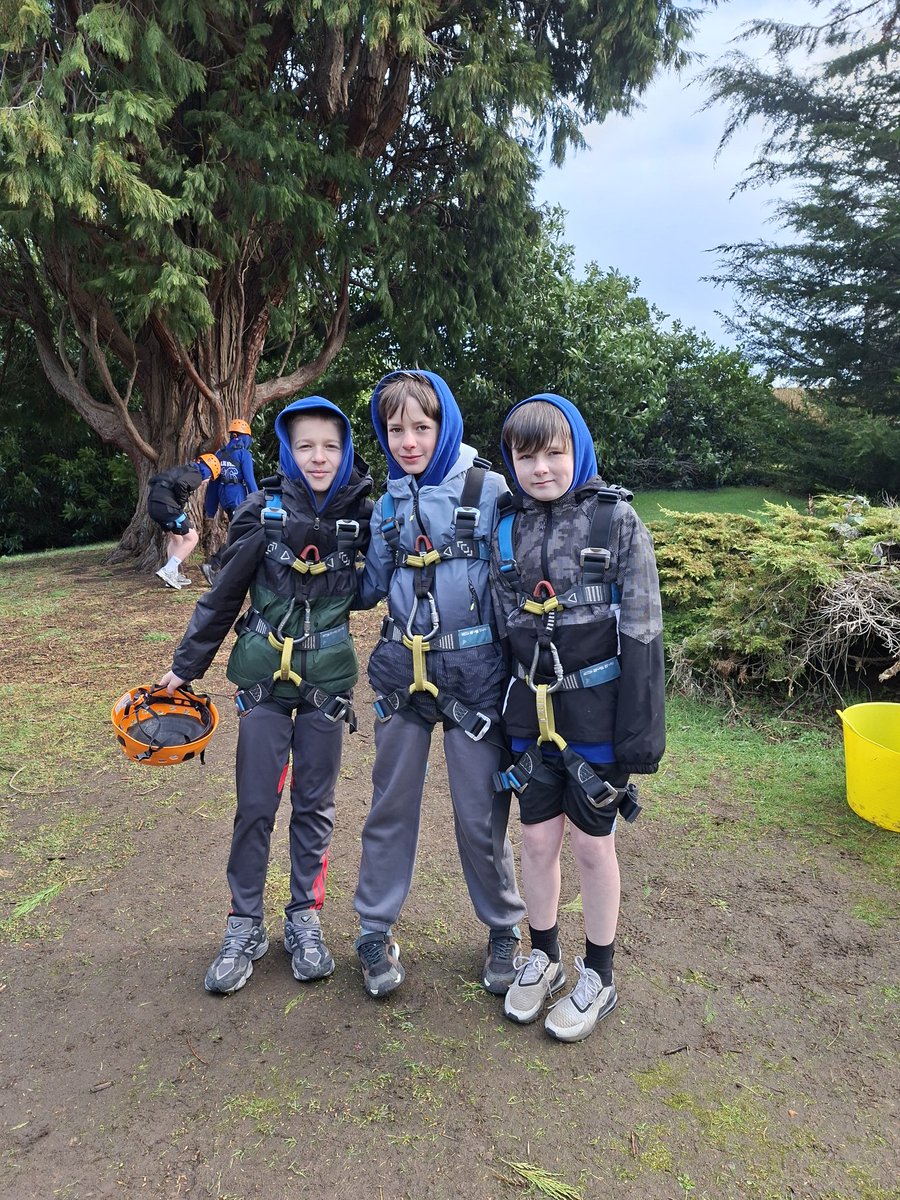 Danderhall Primary tweet media