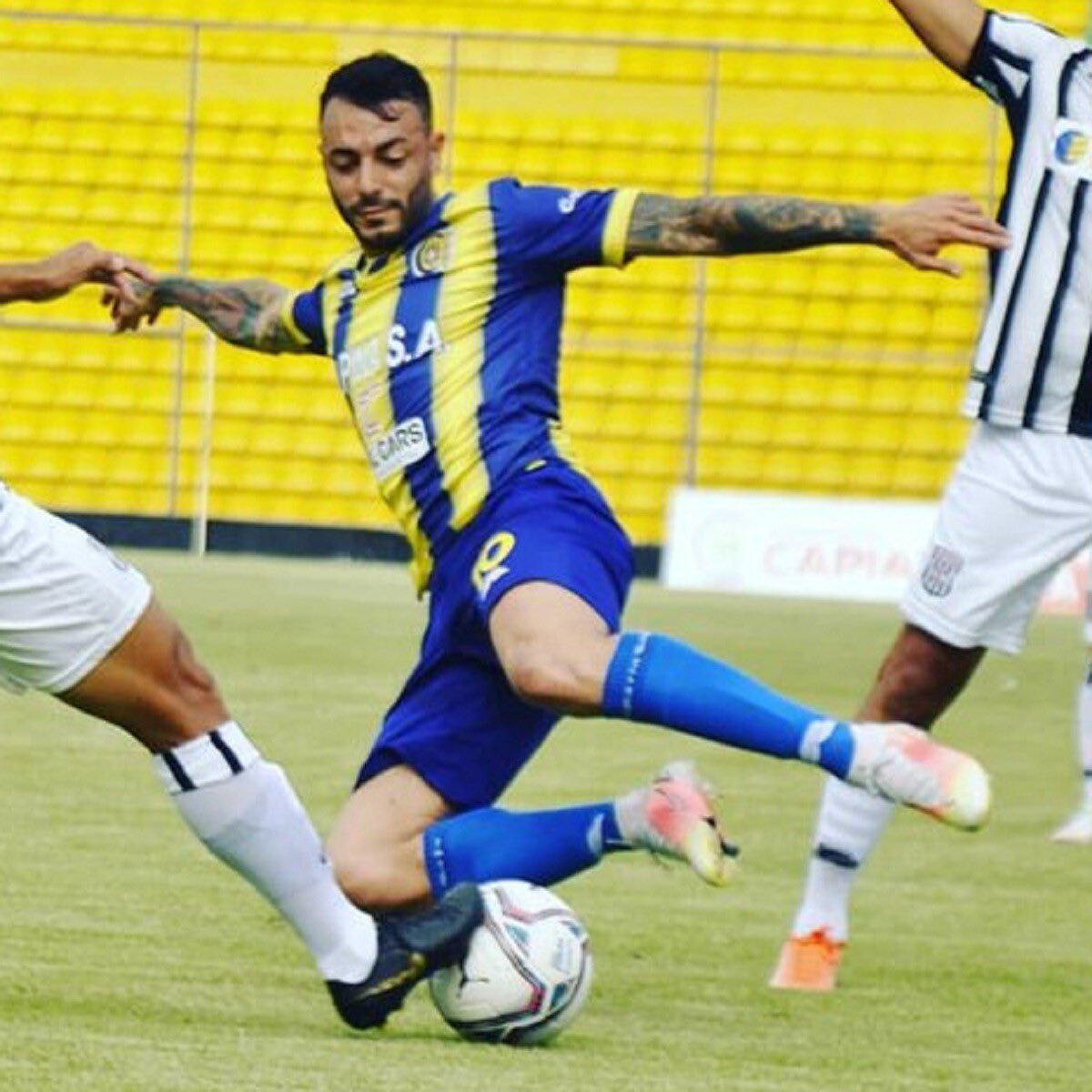 Indiberio tweet media