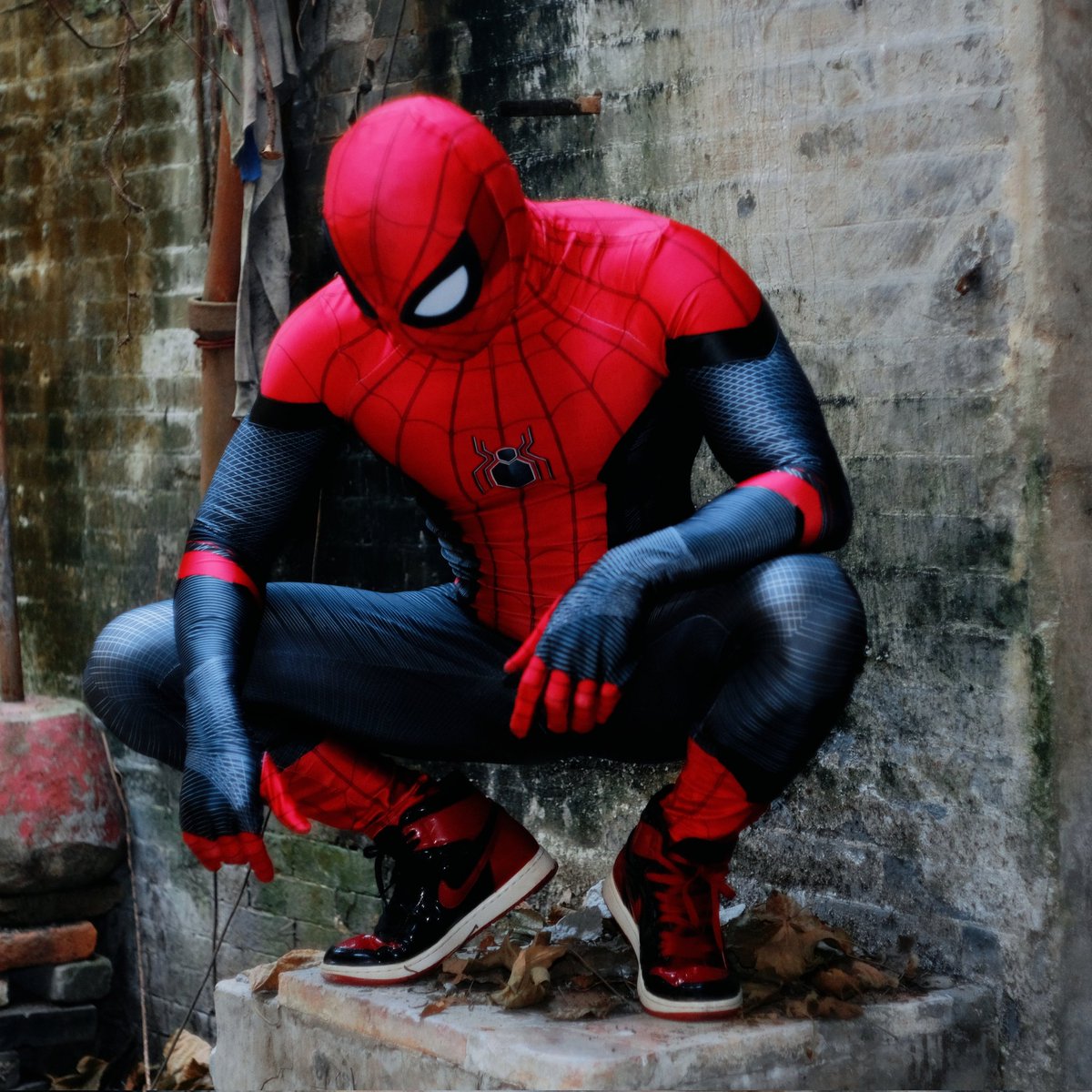 Robust_Z tweet media