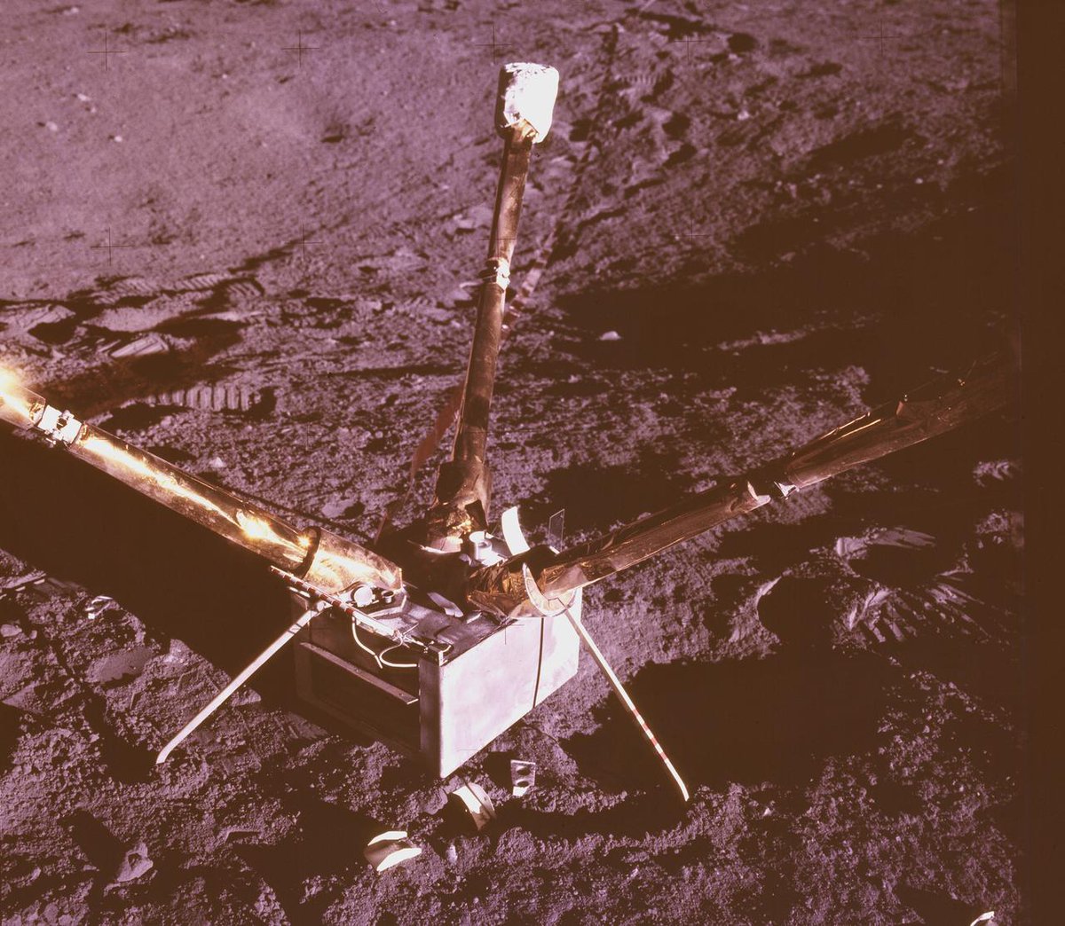 Deep Universe Facts tweet media