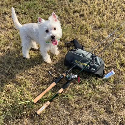 LEON加来 匠 Evolución tweet media