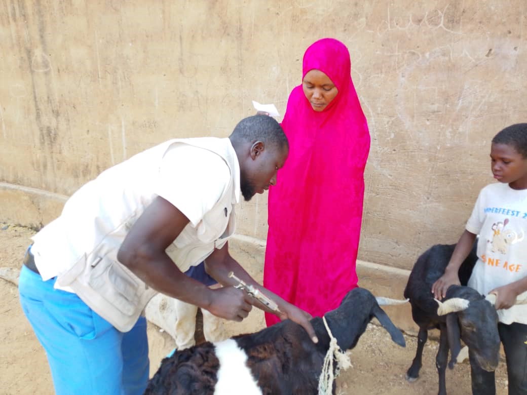 FAO au Niger tweet media