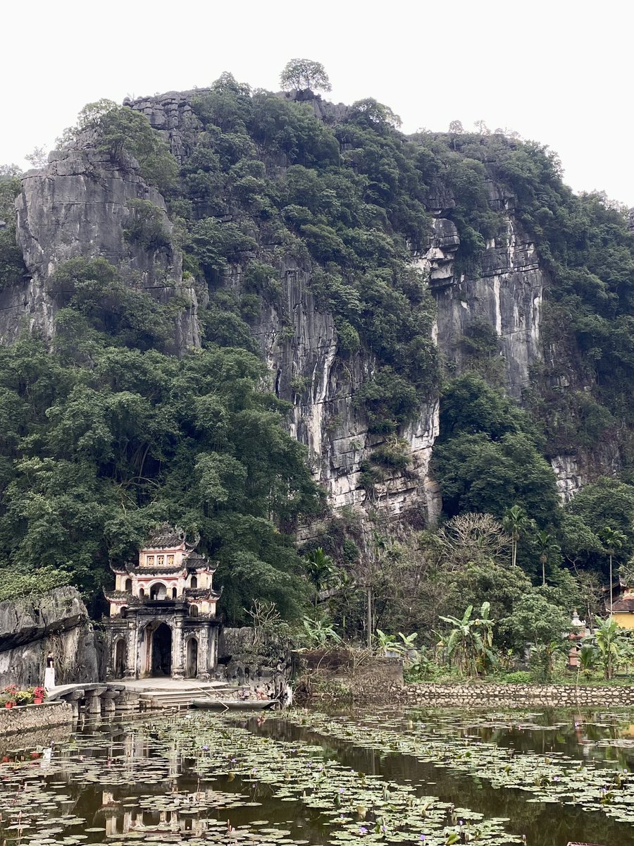 colito 🫠 tweet media