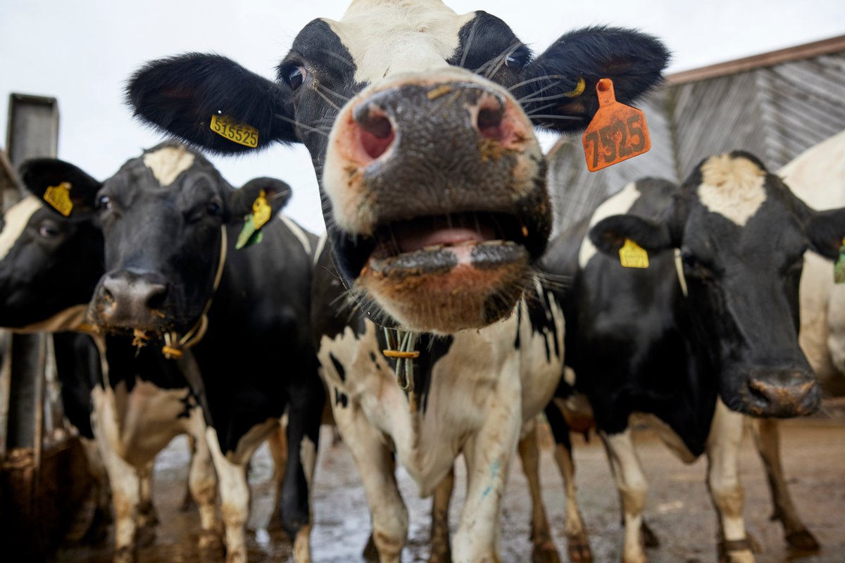 KW Feeds tweet media