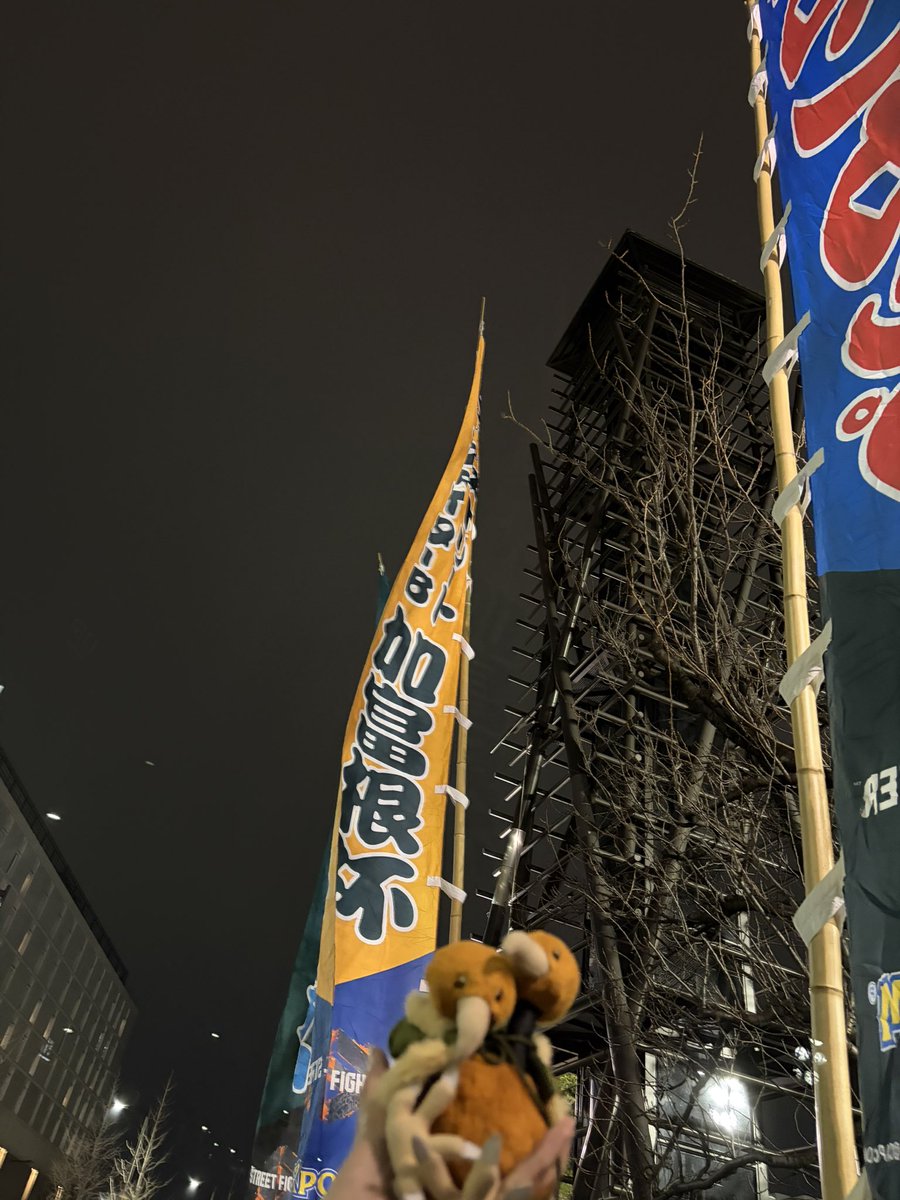 ひきこもドードー tweet media