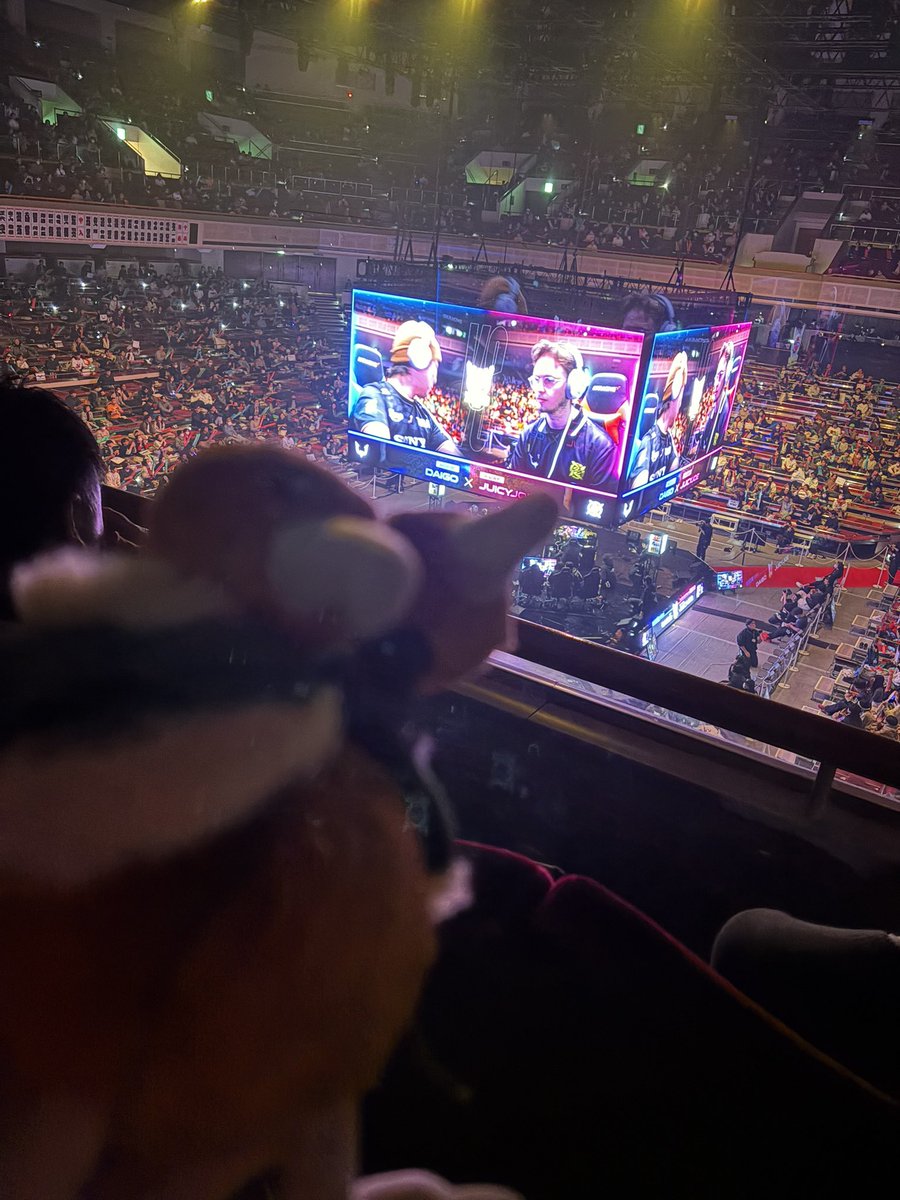 ひきこもドードー tweet media