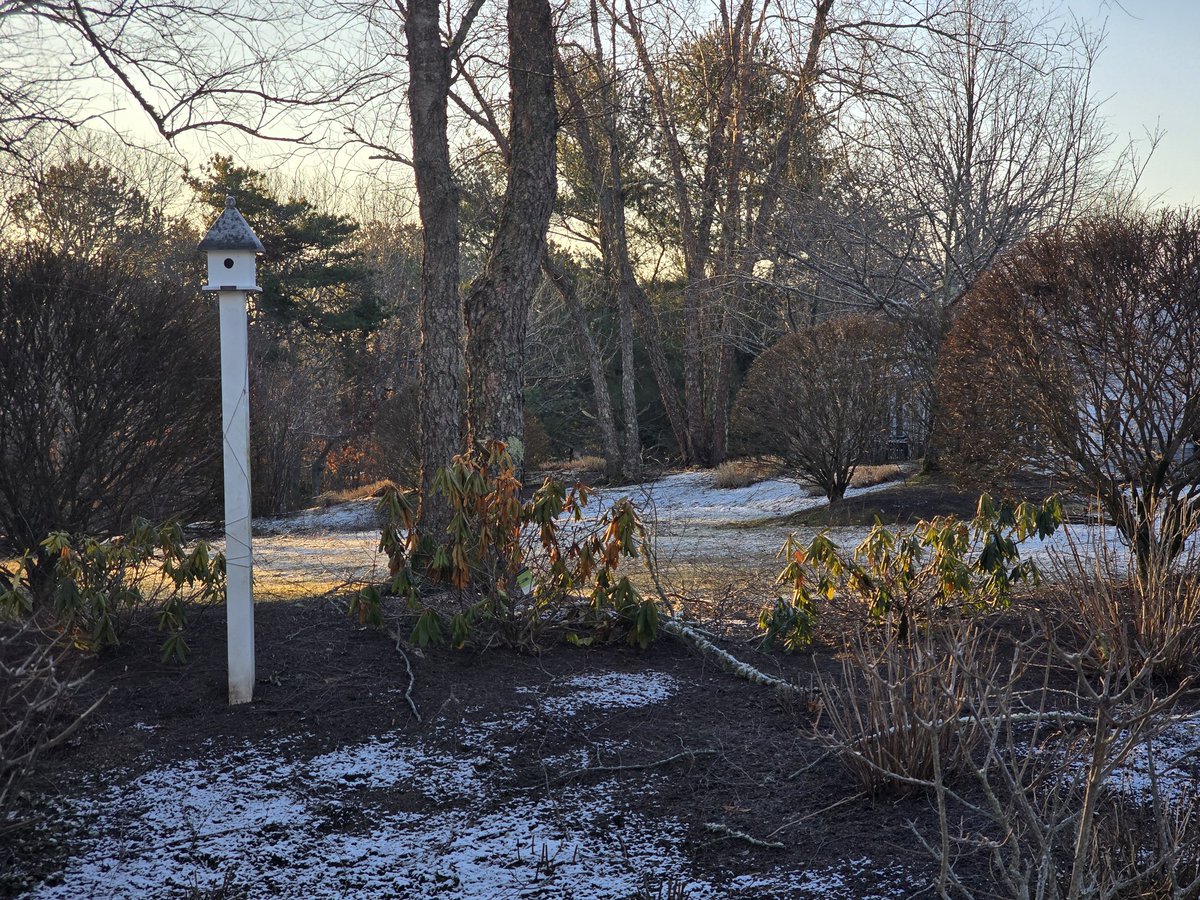 Waking uo to a frosting covered Cape.