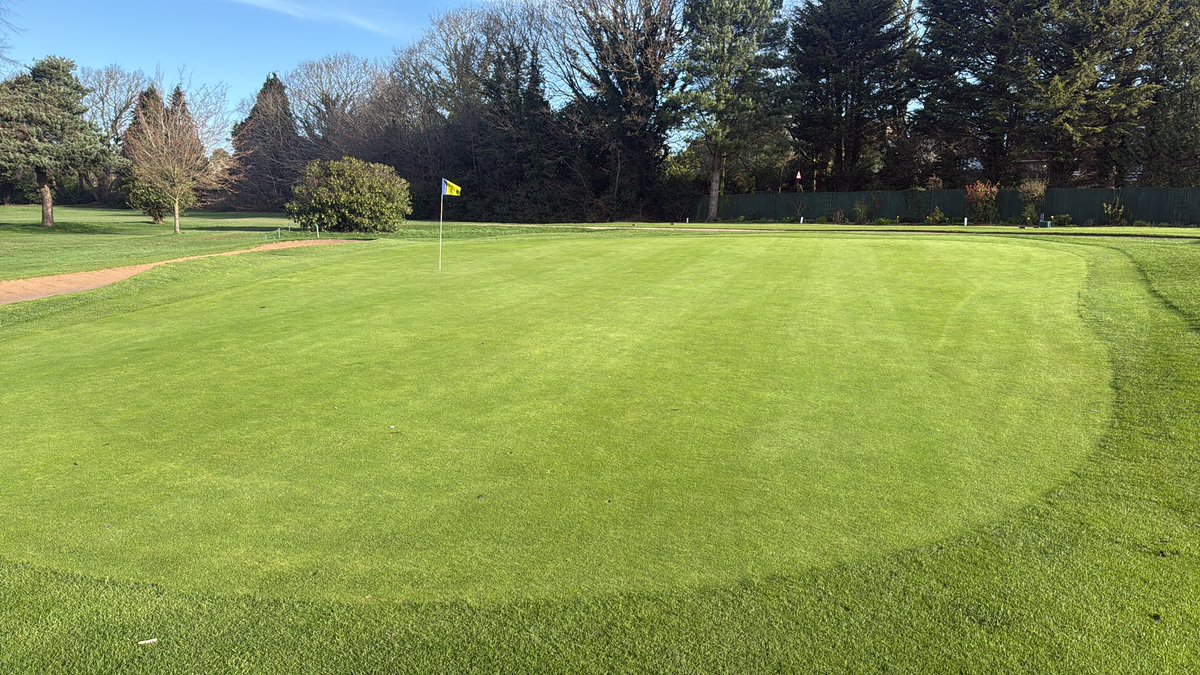 Chris Low tweet media