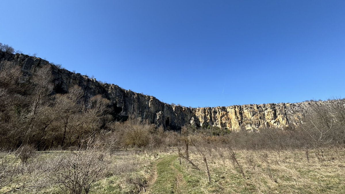 MasterOnChain tweet media