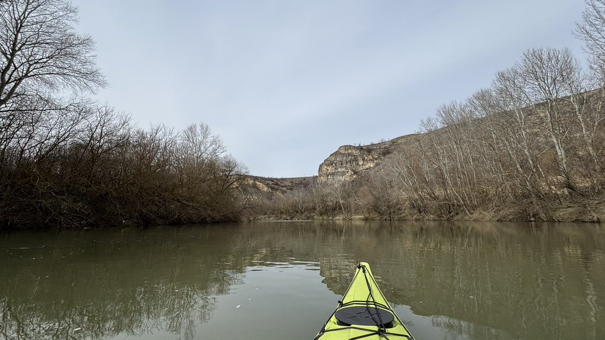 MasterOnChain tweet media