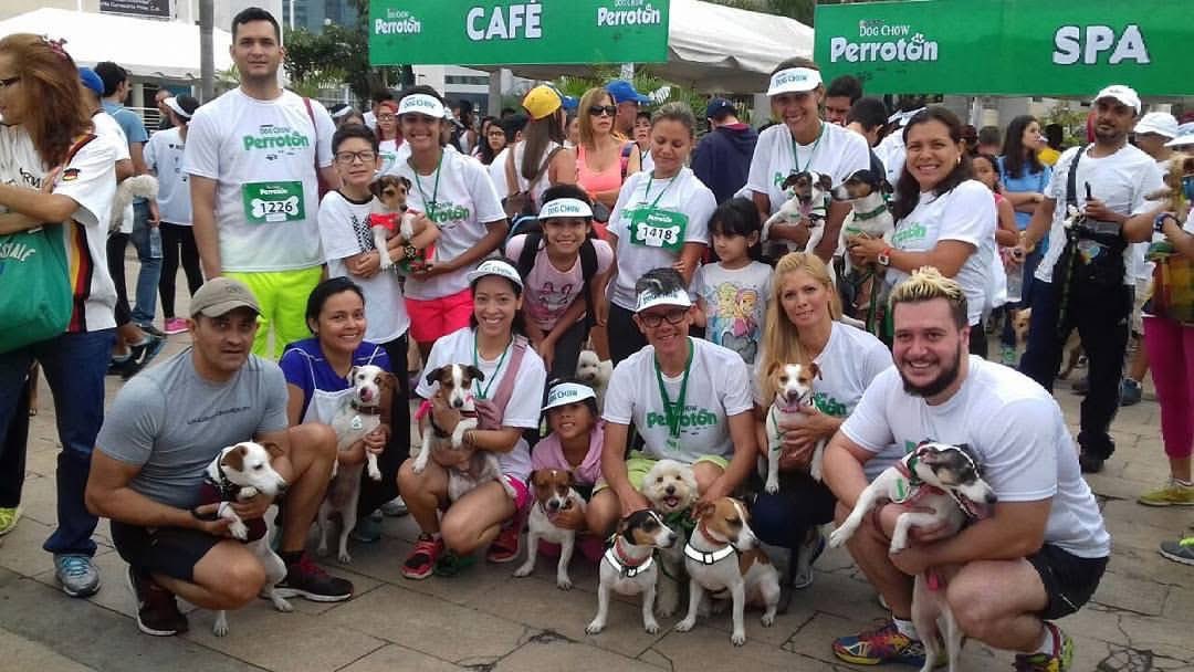 JackRussellVzla's tweet photo. Un #FBF del 2017, disfrutando con la #manada de aquel evento llamado #Perroton de Dog Chow en #Venezuela https://t.co/f6DDeqgfUQ