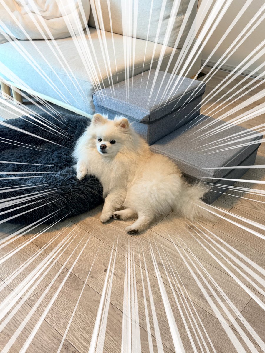 伊之助ボディになるまで毎日腹筋ローラー tweet media