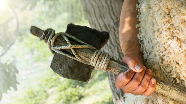 JanLukavec's tweet photo. Je válčení biologicky danou dispozicí, nebo selháním civilizace? Kniha Násilí a válčení lovců-sběračů boří  představy o mírumilovném pravěku. Autoři také zkoumají, proč se lidé v jedné generaci dokážou proměnit z krutých válečníků v přátelské sousedy. https://t.co/Xf5ICyootM https://t.co/dcT6dNZHYq