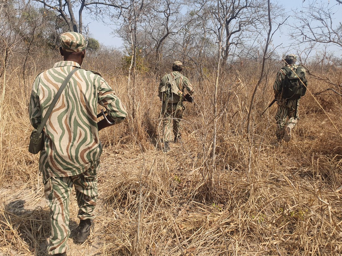 Jim Green Footwear 🐸 tweet media