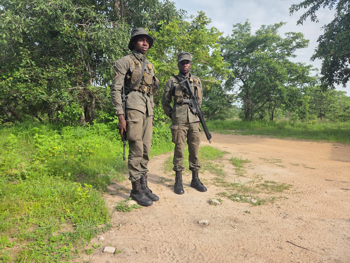 Jim Green Footwear 🐸 tweet media