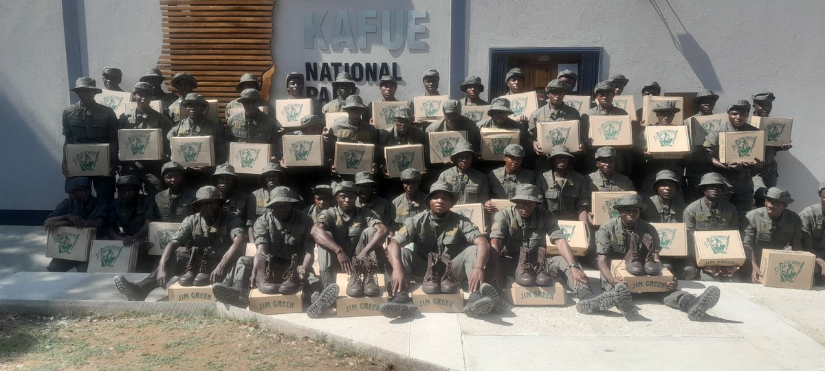 Jim Green Footwear 🐸 tweet media