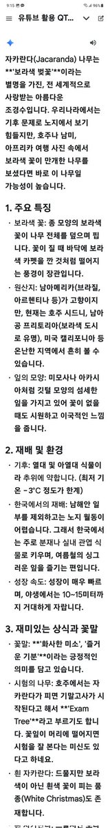 dalat's tweet photo. 자카란다 꽃시즌 : 이미지 속 보라색 꽃은 자카란다(Jacaranda) 나무 꽃입니다. 달랏에서는 특히 3월에서 4월경에 이 자카란다 꽃이 만개하여 도시를 아름답게 물들입니다. https://t.co/HA3oAdgWOd