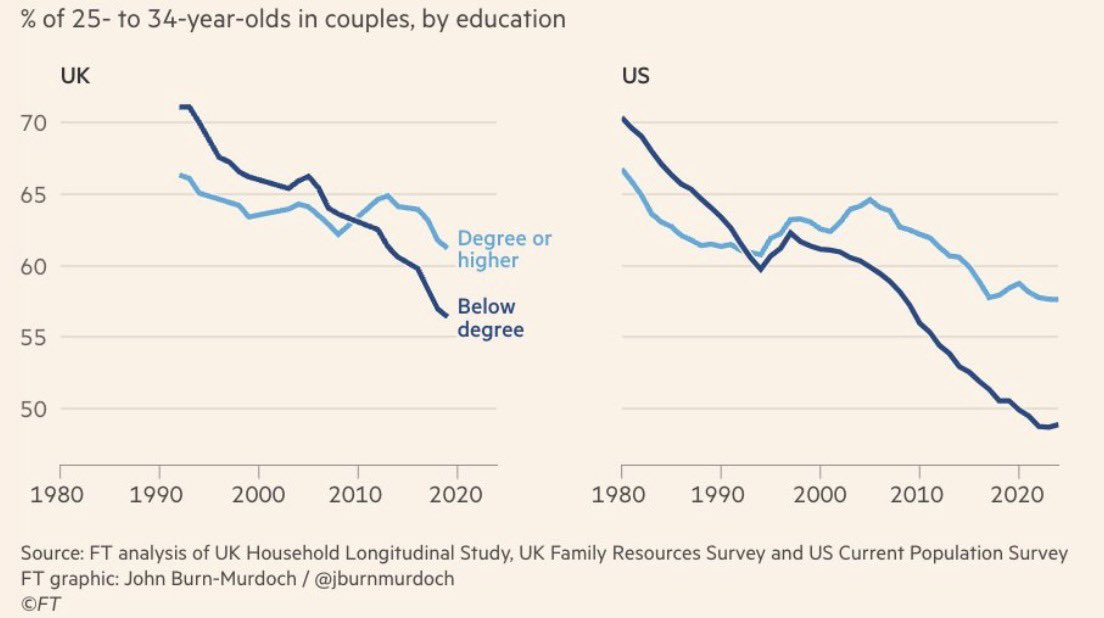 Alice Evans tweet media
