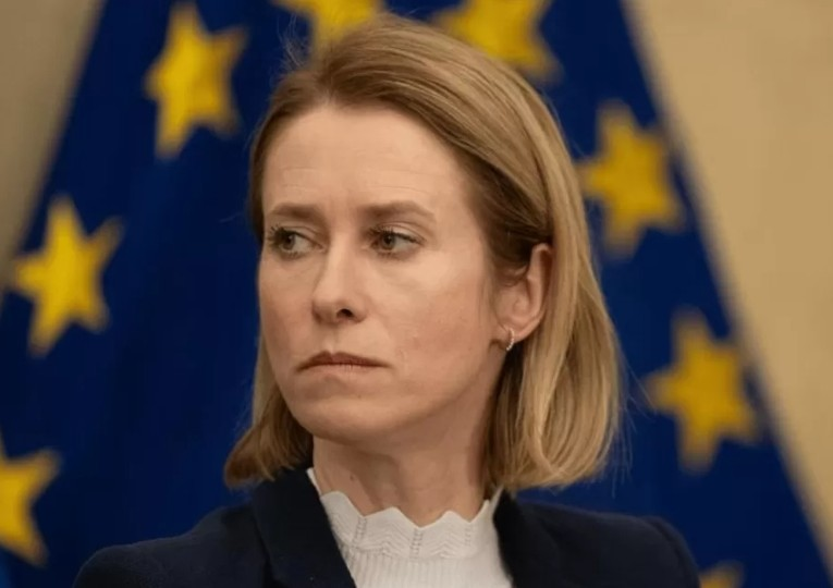 Elisa Mosini 🇪🇺🇮🇹 tweet media