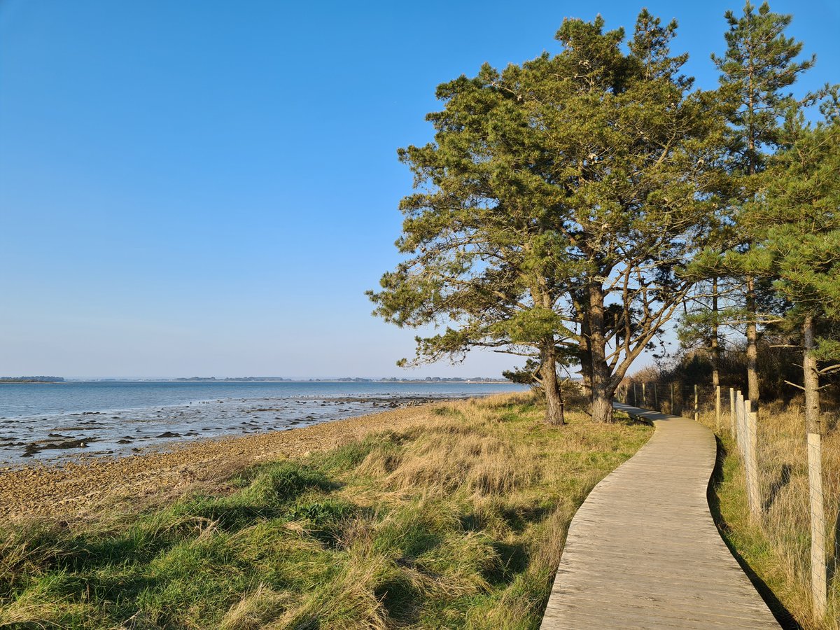 Tour du Golfe tweet media