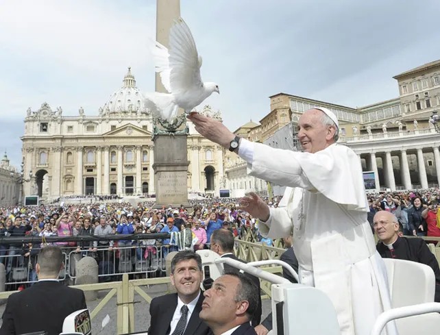 Andrés Larroque tweet media