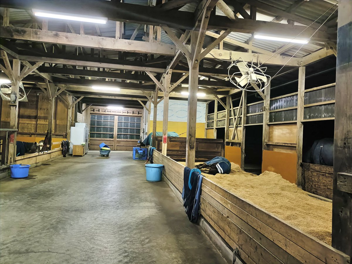 厩舎みちくさ 南相馬市小高区 tweet media