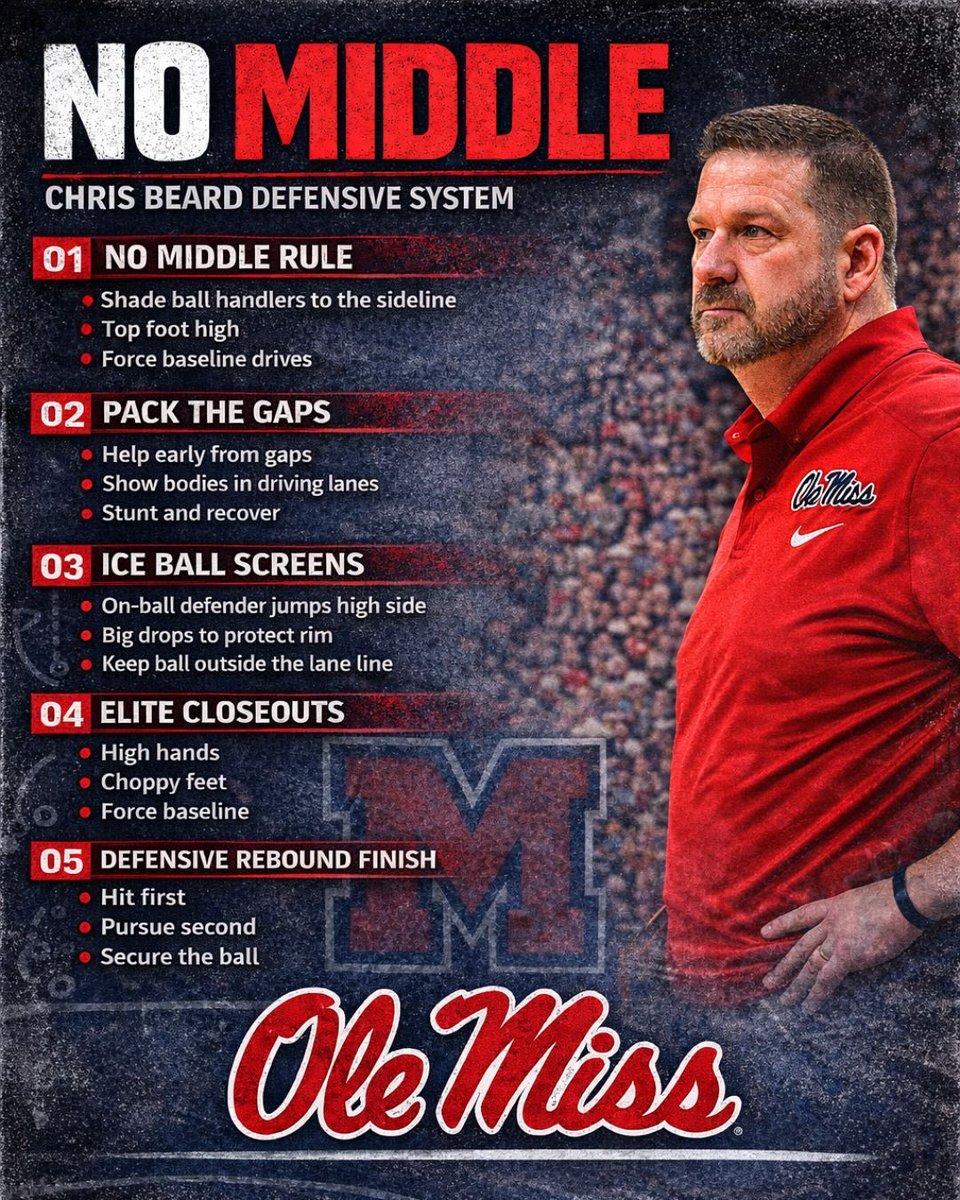 Amy Ingram 🦁🏀 tweet media