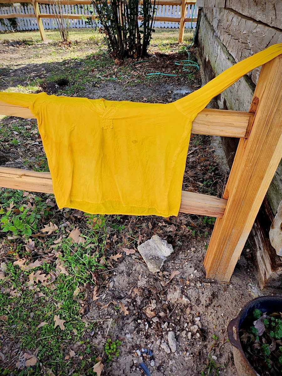 Sam Houston Memorial Museum tweet media