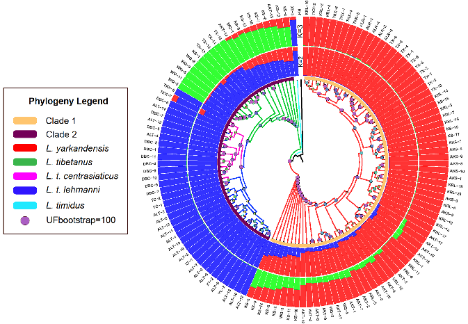 World Lagomorph Society tweet media