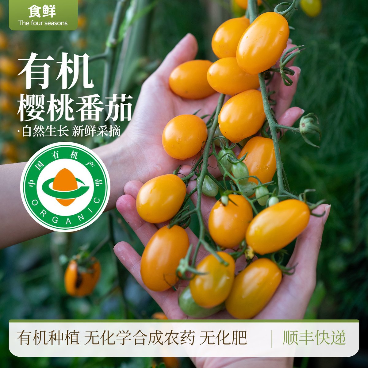 jacob dominguez tweet media