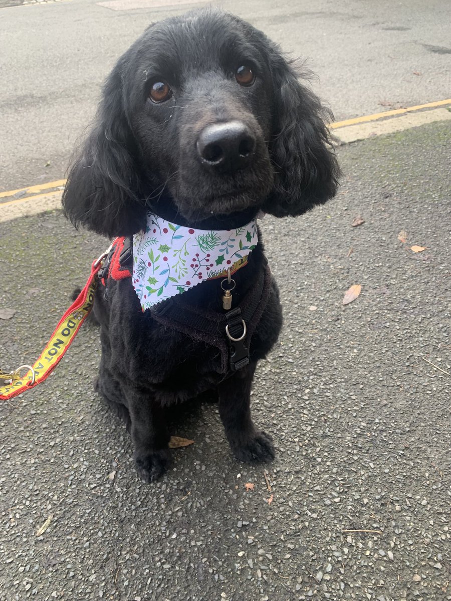 Gary McC tweet media