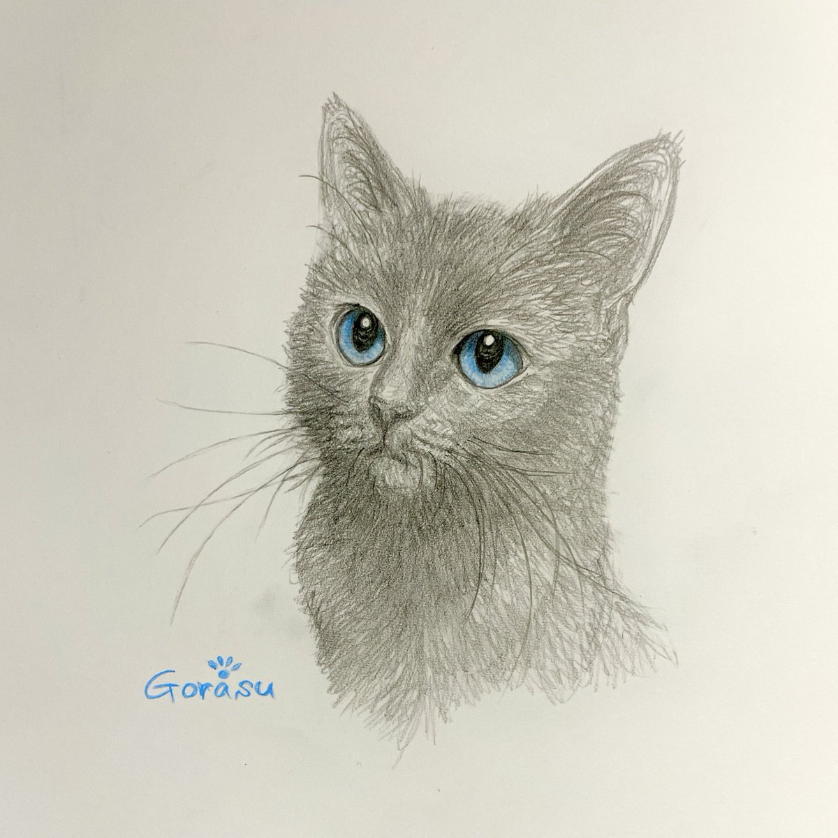 gorasu_0410's tweet photo. 見上げるにゃんこ^.  ̫ .^ฅ゛ https://t.co/nJe87rO33j